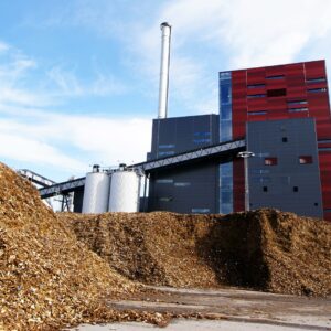 Le energie rinnovabili: biomasse