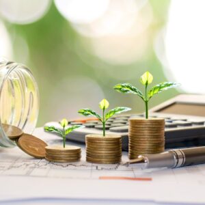Strategia e sostenibilità d'impresa